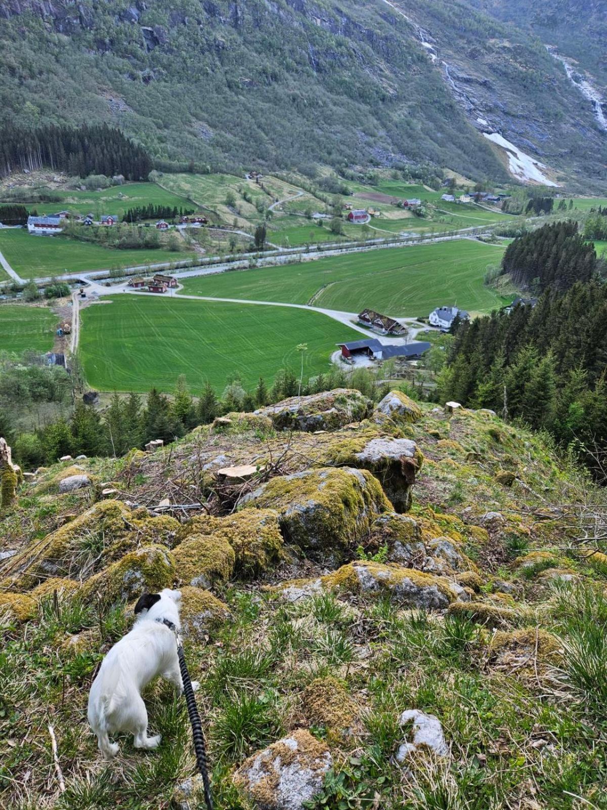 Trollbu Aabrekk Gard Сasa de vacaciones *