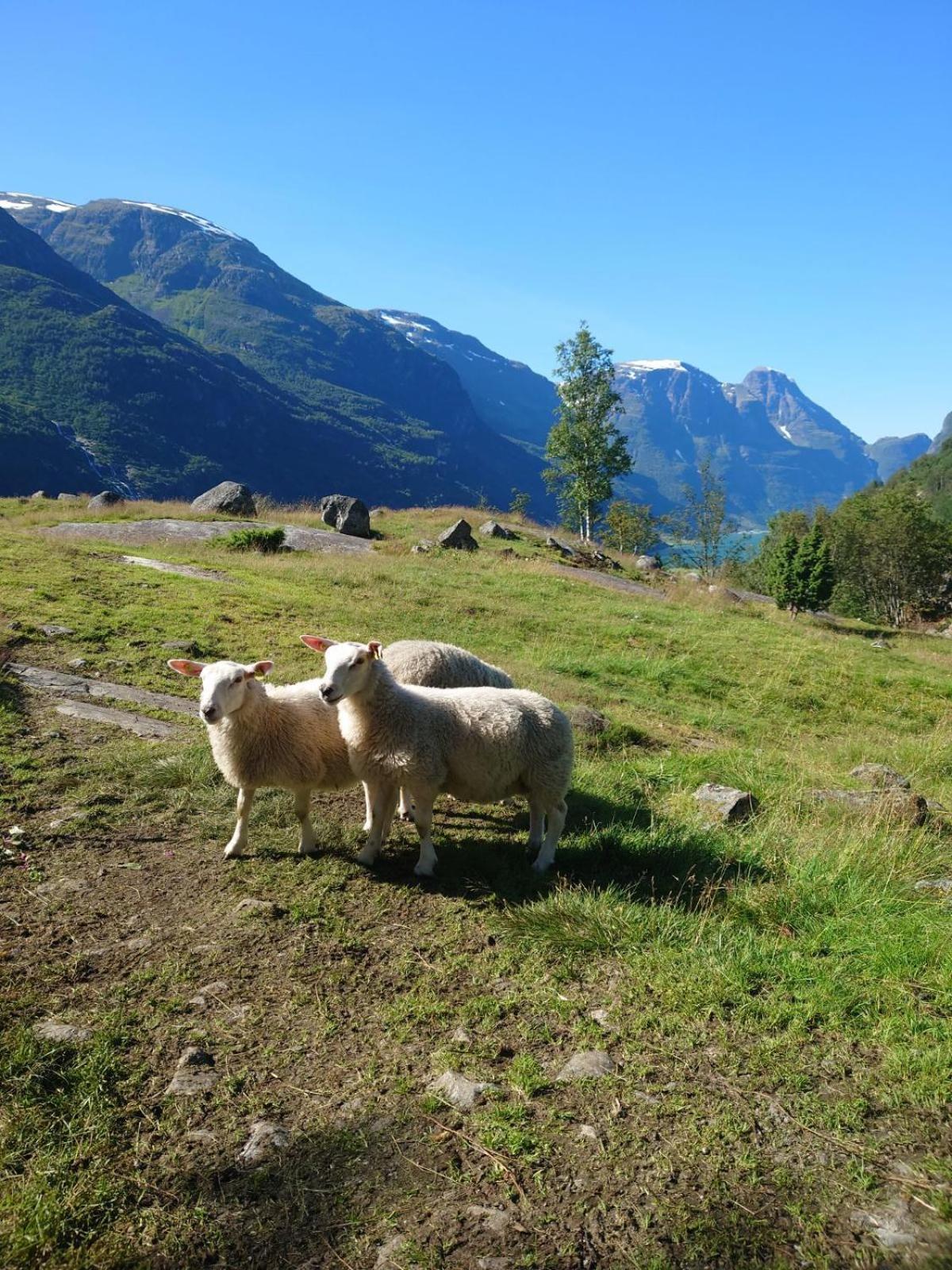Trollbu Aabrekk Gard * Briksdalsbre